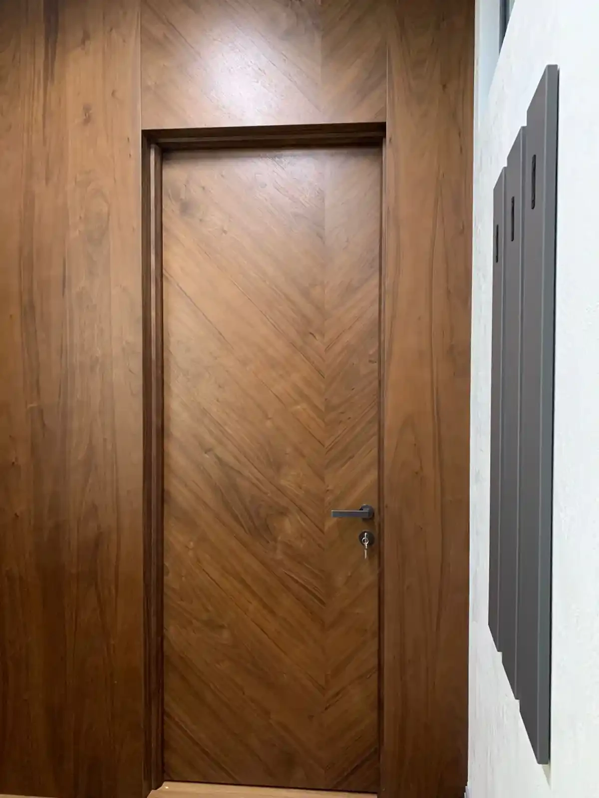 Solo 3