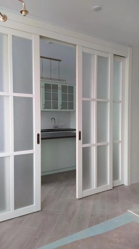 раздвижные стеклянные двери в стиле mid-century modern для зонирования кухни