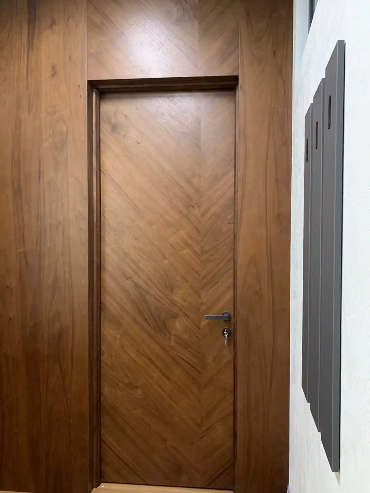 Solo 3